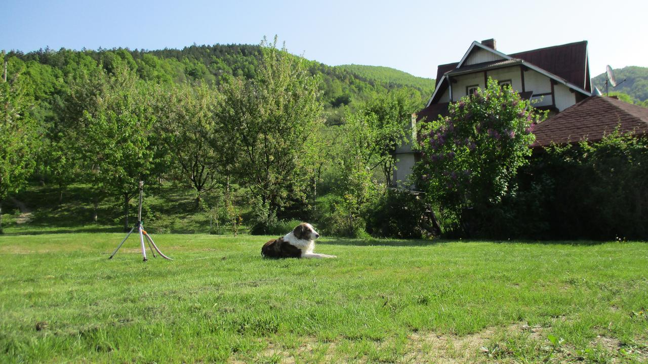 Cabana Poiana Galdei Екстер'єр фото
